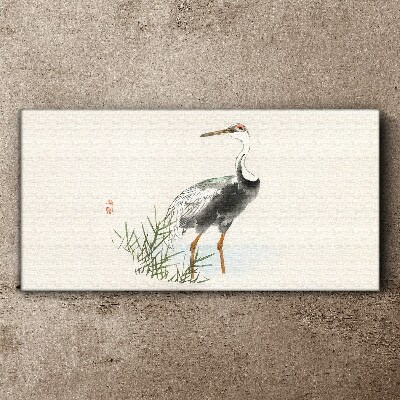 Canvas schilderij Zwarte ooievaar tegen de achtergrond van het gras