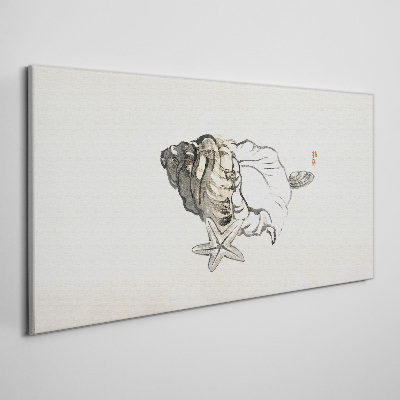 Foto op canvas Zeesterrenschelp