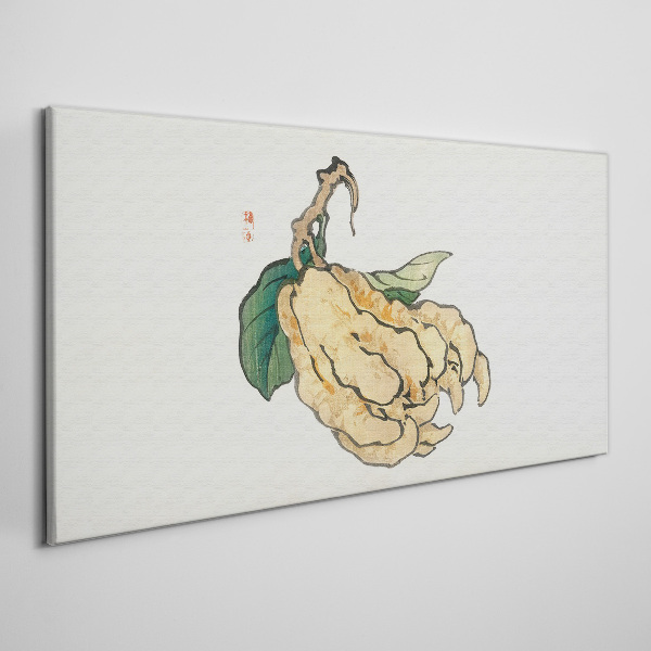 Foto op canvas Citroenboom op een witte achtergrond