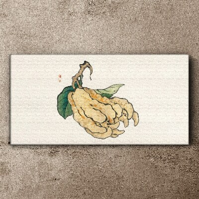 Foto op canvas Citroenboom op een witte achtergrond