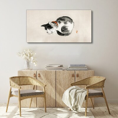 Foto op canvas Slapende kat