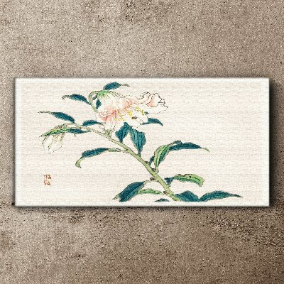 Foto op canvas Bloemen elegantie