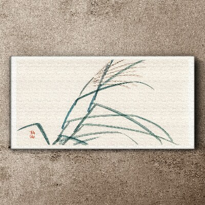 Foto op canvas Delicate grasblaadjes