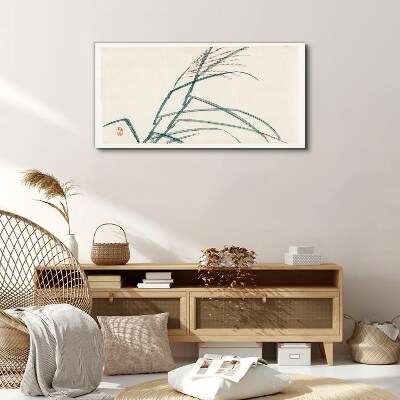 Foto op canvas Delicate grasblaadjes