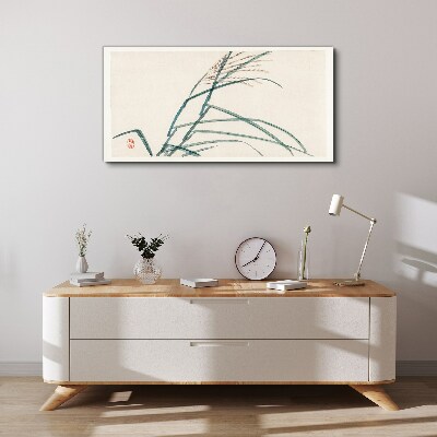 Foto op canvas Delicate grasblaadjes