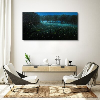 Foto op canvas Nachtlampjes in het bos