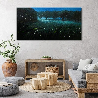 Foto op canvas Nachtlampjes in het bos