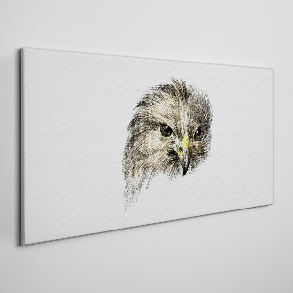 Canvas schilderij Portret van een roofvogel