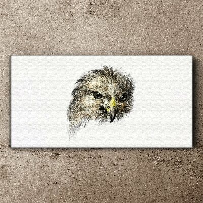 Canvas schilderij Portret van een roofvogel
