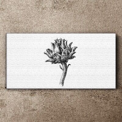 Foto op canvas Bloemen elegantie