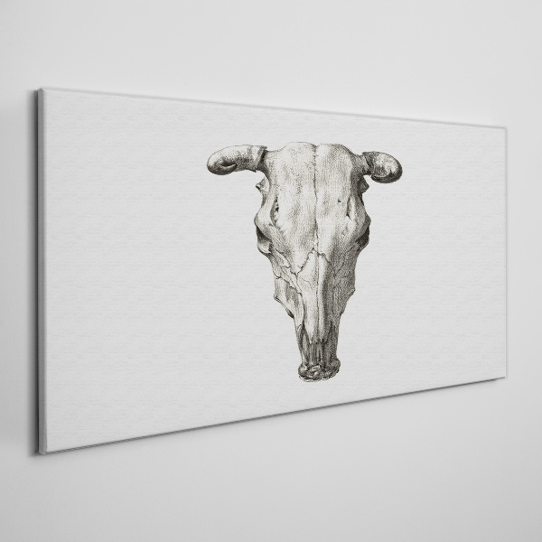 Schilderij op doek Schedel op een witte achtergrond