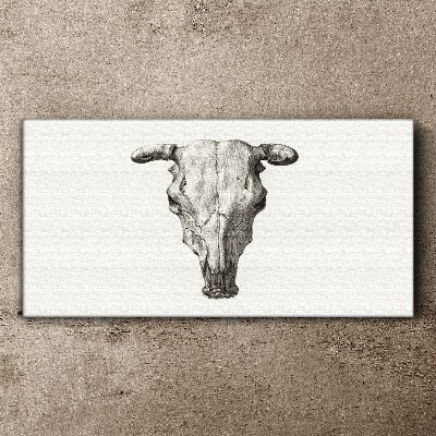 Schilderij op doek Schedel op een witte achtergrond