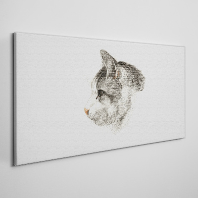 Foto op canvas Portret van een kat op een witte achtergrond
