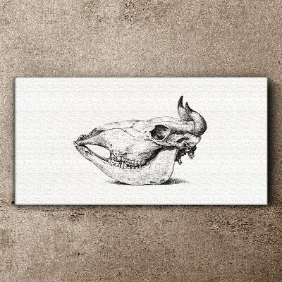 Canvas schilderij Dierenschedel