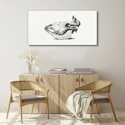 Canvas schilderij Dierenschedel
