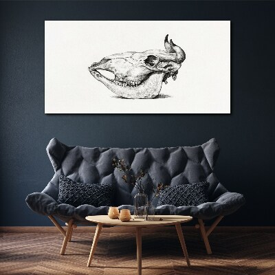 Canvas schilderij Dierenschedel