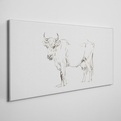 Foto op canvas Koe op een witte achtergrond