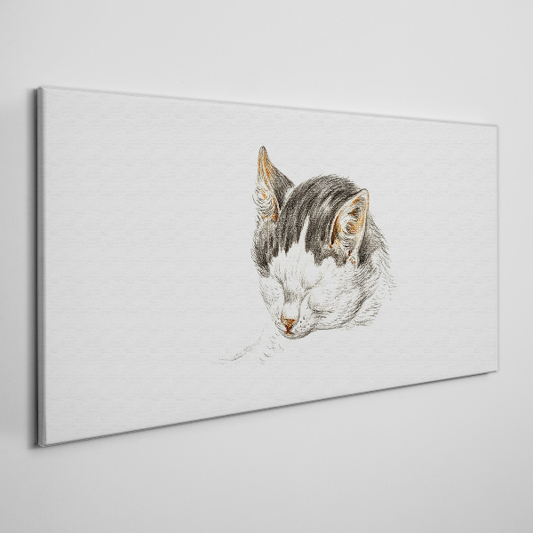 Foto op canvas De droom van de kat