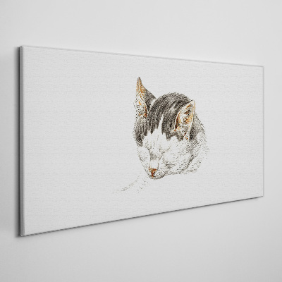 Foto op canvas De droom van de kat