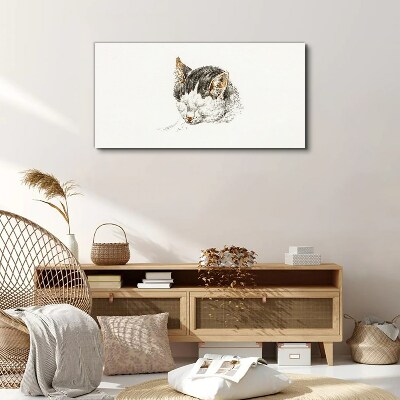 Foto op canvas De droom van de kat