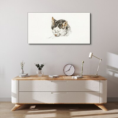 Foto op canvas De droom van de kat