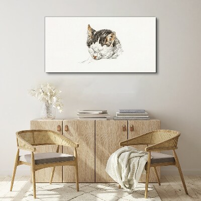 Foto op canvas De droom van de kat