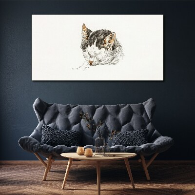 Foto op canvas De droom van de kat