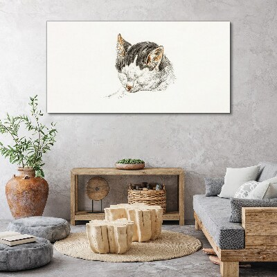 Foto op canvas De droom van de kat