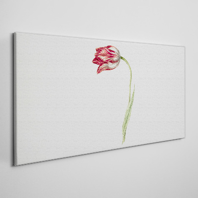 Foto op canvas Tulp in delicate tinten