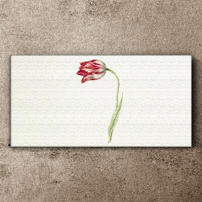 Foto op canvas Tulp in delicate tinten