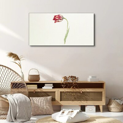 Foto op canvas Tulp in delicate tinten