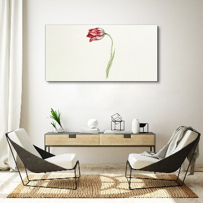 Foto op canvas Tulp in delicate tinten