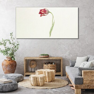 Foto op canvas Tulp in delicate tinten