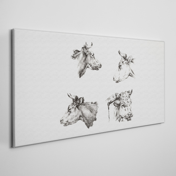 Foto op canvas Zwart-witportret van vee