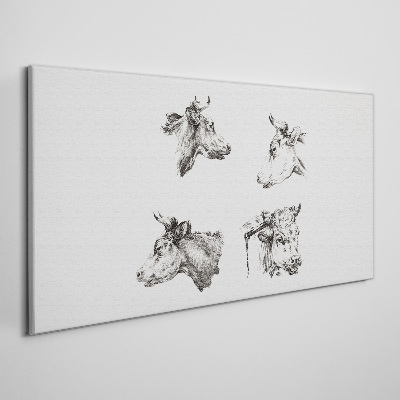 Foto op canvas Zwart-witportret van vee