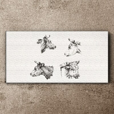 Foto op canvas Zwart-witportret van vee