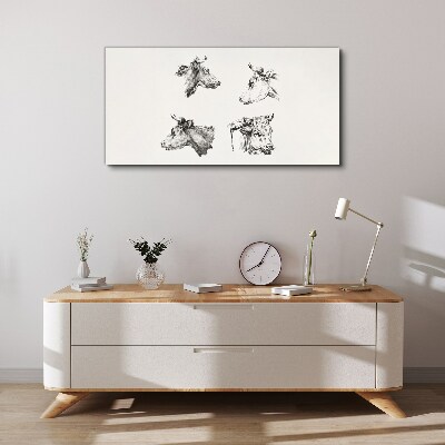 Foto op canvas Zwart-witportret van vee