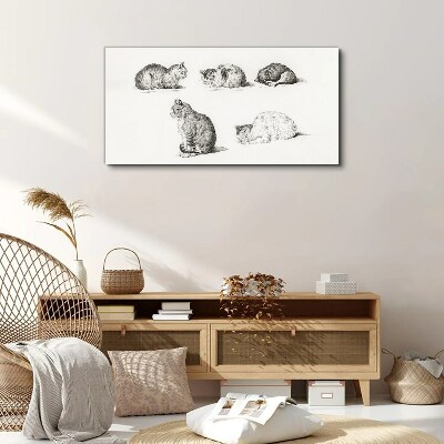 Foto op canvas Verschillende houdingen van katten