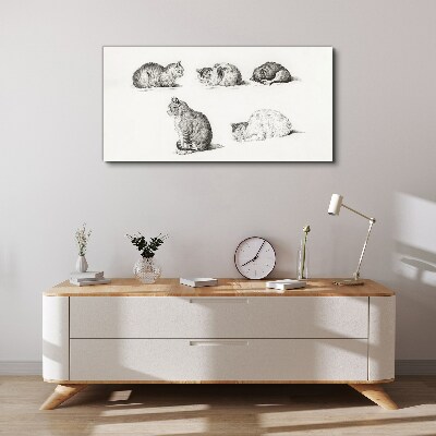 Foto op canvas Verschillende houdingen van katten