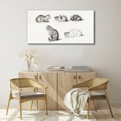 Foto op canvas Verschillende houdingen van katten