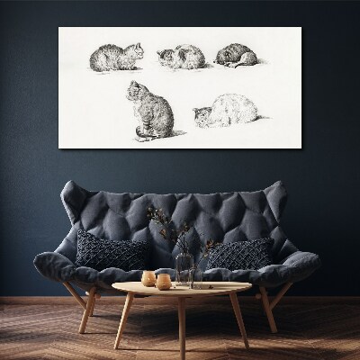 Foto op canvas Verschillende houdingen van katten