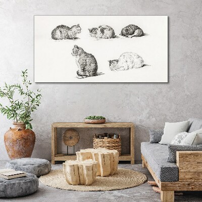 Foto op canvas Verschillende houdingen van katten