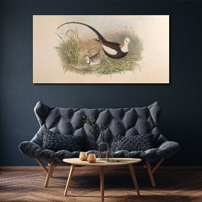 Canvas schilderij Vogels in het gras