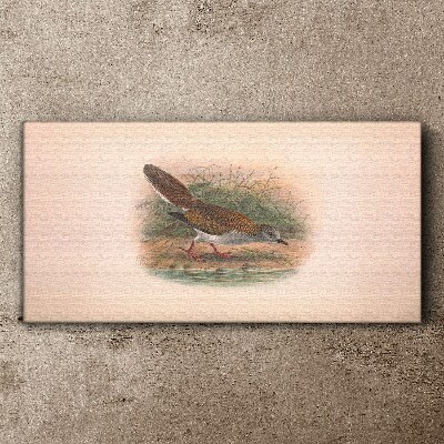 Schilderij op doek Een vogel over het water