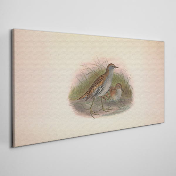 Foto op canvas Vogels in het gras