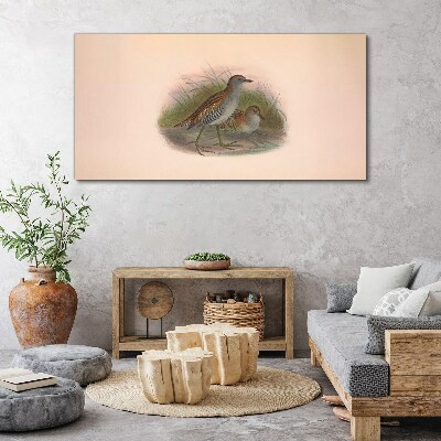 Foto op canvas Vogels in het gras