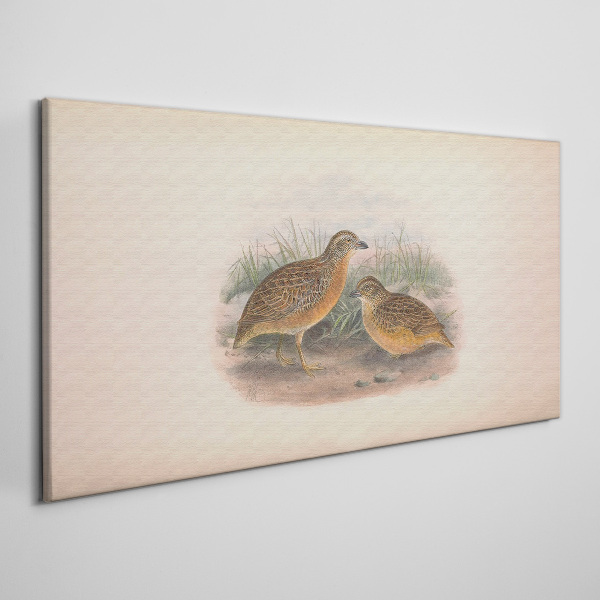 Schilderij op doek Twee vogels in het gras