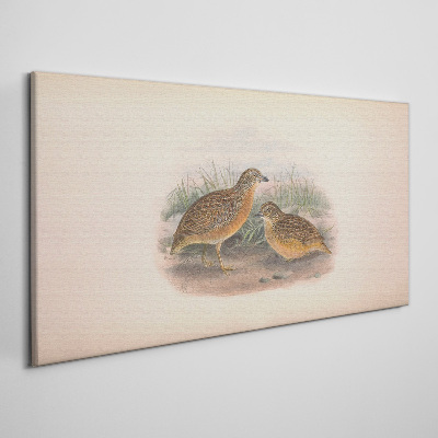 Schilderij op doek Twee vogels in het gras
