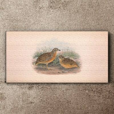 Schilderij op doek Twee vogels in het gras