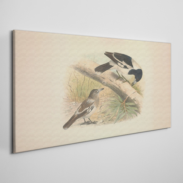 Foto op canvas Vogels op een tak